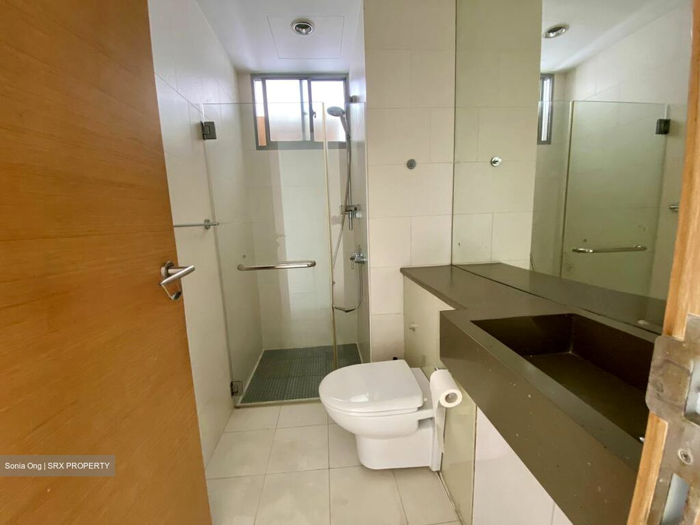 Pavilion 11 (D11), Condominium #504323541